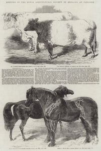 Bijeenkomst van de Royal Agricultural Society of England, in Carlisle